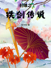 射雕之铁剑传说在线阅读