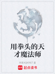 用拳头的天才魔法师在线阅读