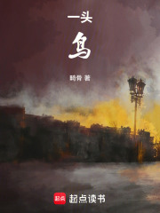 一头鸟在线阅读