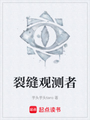 裂缝观测者在线阅读