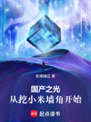 国产之光