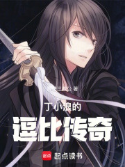 丁小浪的逗比传奇在线阅读