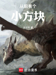 从前有个小方块在线阅读