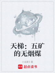 天梯：五矿的无烟煤在线阅读