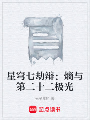 星穹七劫辩：熵与第二十二极光在线阅读