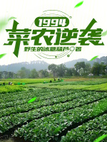 1994：菜农逆袭在线阅读