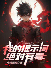 我的提示词