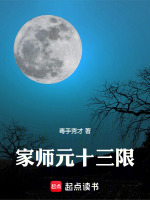 家师元十三限封面