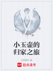 小玉壶的归家之旅在线阅读