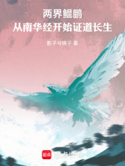 两界鲲鹏：从南华经开始证道长生在线阅读
