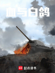 血与白鸽在线阅读