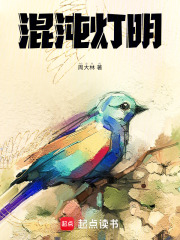 混沌灯明在线阅读