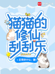 猫猫的修仙