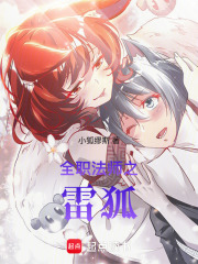 全职法师之雷狐在线阅读