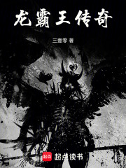 龙霸王传奇