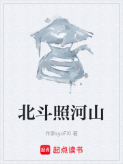 北斗照河山在线阅读