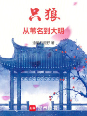 只狼：从苇名到大明