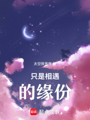 只是相遇的缘份在线阅读