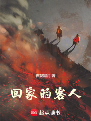 回家的客人在线阅读