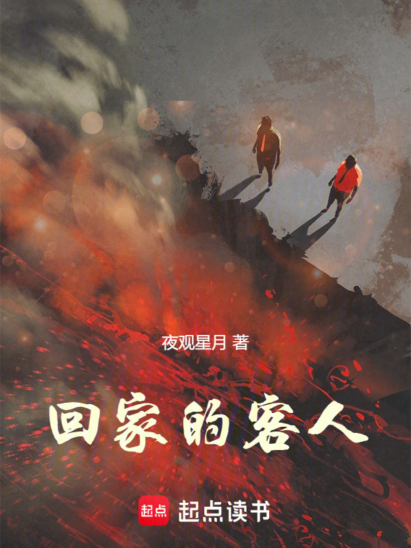 回家的客人在线阅读