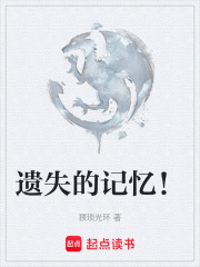 遗失的记忆！在线阅读