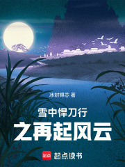 雪中悍刀行之再起风云