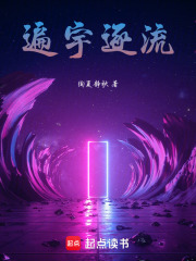 遍宇逐流在线阅读