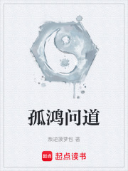 孤鸿问道