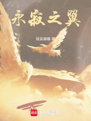 永寂之翼在线阅读