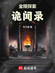 金陵探案诡闻录