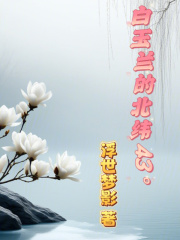 白玉兰的北纬43度在线阅读