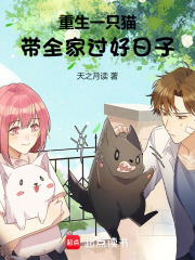 重生一只猫
