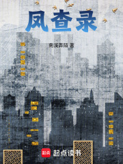 凤查录在线阅读