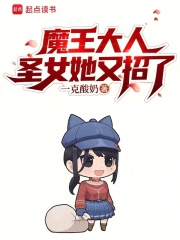 魔王大人圣女她