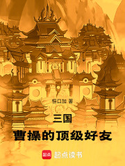 三国曹操的投资