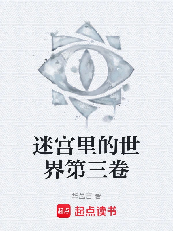 迷宫里的世界第三卷