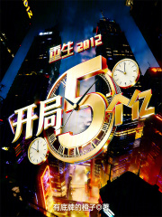 重生2012，开局5个亿（王灿、夏可微）