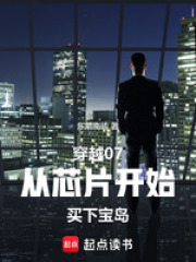 穿越07：从芯片开始纵横宝岛