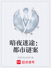 暗夜迷途：都市谜案在线阅读