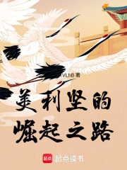 美利坚的崛起之路在线阅读