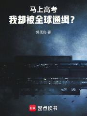 马上高考，我却被全球通缉？