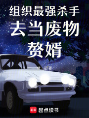 组织最强杀手去当废物赘婿