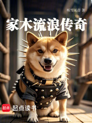 家木流浪传奇在线阅读