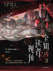 全知读者视角