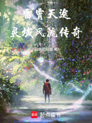 雷霄天途灵域风