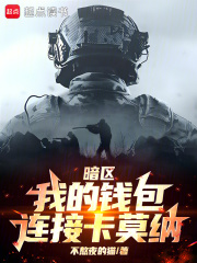 暗区：我的钱包连接卡莫纳在线阅读