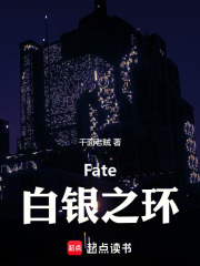 Fate：白银之环