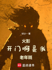 火影：开门啊，是我，老年斑！