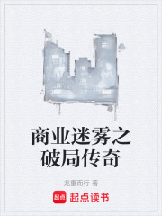 商业迷雾之破局传奇在线阅读