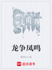 龙争凤鸣在线阅读
